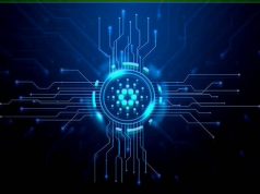 Google Ushers in a Passwordless Future with Passkey Adoption