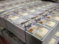 Nigeria Launches $10 Billion Diaspora Fund to Attract Investment