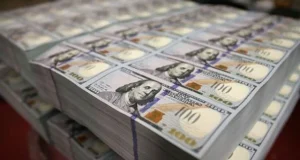 Nigeria Launches $10 Billion Diaspora Fund to Attract Investment