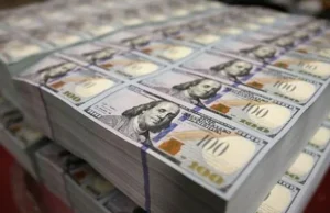 Nigeria Launches $10 Billion Diaspora Fund to Attract Investment