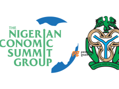 NESG Raises Concerns Over Timing of Nigeria’s New Cybersecurity Levy on E-Transactions