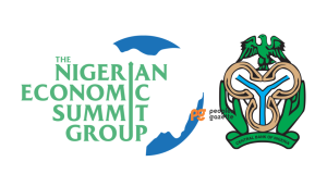 NESG Raises Concerns Over Timing of Nigeria’s New Cybersecurity Levy on E-Transactions