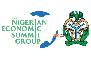 NESG Raises Concerns Over Timing of Nigeria’s New Cybersecurity Levy on E-Transactions