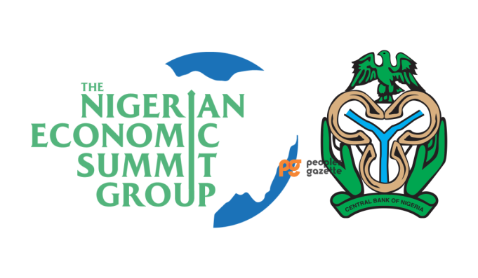 NESG Raises Concerns Over Timing of Nigeria’s New Cybersecurity Levy on E-Transactions