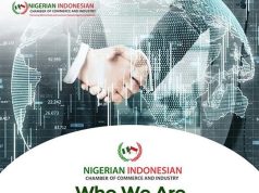 Nigeria Overtakes South Africa as Indonesia’s Top African Investment Destination