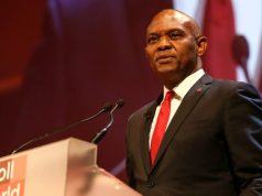 Elumelu Champions Innovation and Investment for Global Health Improvement at Abu Dhabi Forum