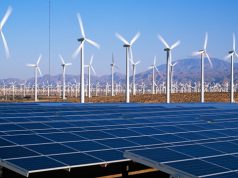 Rural Electrification Agency Welcomes Probe into Nigeria’s Renewable Energy Investments