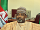 Nigeria Seeks Global Collaboration to Bolster Food Security