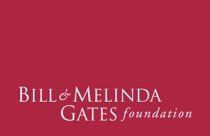 Nigeria Secures $600,000 Relief Fund from Bill & Melinda Gates Foundation