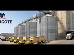 Dangote Cement: A Catalyst for Nigeria’s Industrialization