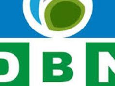 DBN to Host 5th Annual Lecture Series on MSMEs in Nigeria