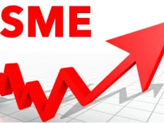 Banking Sector Recapitalization: Implications for SMEs