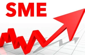 Banking Sector Recapitalization: Implications for SMEs