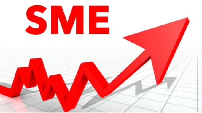 Banking Sector Recapitalization: Implications for SMEs