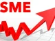 Banking Sector Recapitalization: Implications for SMEs