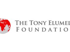Elumelu Foundation Empowers Over 8,000 Women Entrepreneurs Across Africa