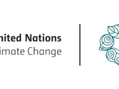 Expert Urges World Leaders to Prioritize Climate Action at COP29