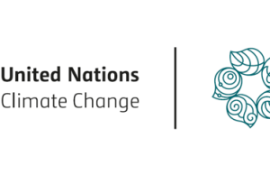 Expert Urges World Leaders to Prioritize Climate Action at COP29