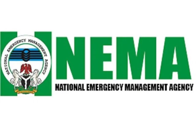 NEMA-1