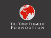 Tony Elumelu Foundation Opens Applications for 2025 Entrepreneurship Programs, Focusing on AI and Green Initiatives