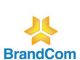 Chain Reactions Africa Wins Big at Brandcom Awards 2024