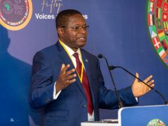 Africa Faces $74 Billion Debt Servicing Burden Amidst Rising Costs and Limited Liquidity