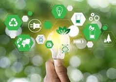 MRDC Boosts Entrepreneurial Sustainability with ILO Training