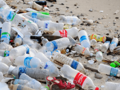 APWEN Raises Alarm Over Plastic Pollution’s Threat to Nigeria’s Tourism and Environment