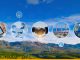 Why Sustainable Supply Chains Are the New Competitive Advantage