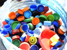 Circular Economies in Action: How Kenya’s Plastic Credit System Is Inspiring Global Brands