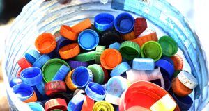 Circular Economies in Action: How Kenya’s Plastic Credit System Is Inspiring Global Brands