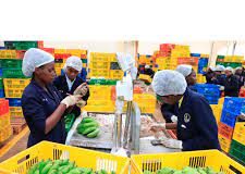 Twiga Foods and Mastercard Digitize Half a Million African Corner Shops—No Smartphone Required