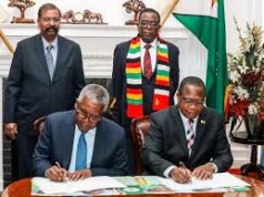 Dangote Group Zimbabwe Investment Revives After Decade of Delays