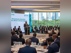 Afreximbank COP30 Climate Agenda Champions Just Transition and African Industrialisation