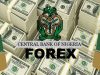 Nigerian Naira Dollar Exchange Rate Pressure Mounts Amid Year-End Forex Demand