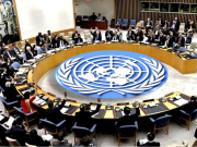 UN Security Council Unanimously Adopts Resolution 2728 on Gaza Humanitarian Access